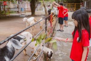 Khám phá thiên nhiên tại Glory Farm - Hành trình trải nghiệm đáng nhớ của các trại viên Hanoi Academy 20 722305197 1462991675870285 6724381161483218051 n