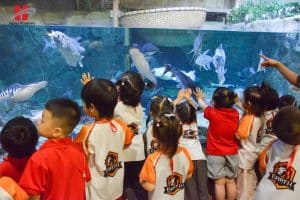 Dã ngoại Lotte Aquarium: Nhà thám hiểm nhí khám phá đại dương 17 840405123 2186053635310387 7363800141760685984 n