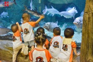 Dã ngoại Lotte Aquarium: Nhà thám hiểm nhí khám phá đại dương 12 840621915 3037000339973457 5352600815527232694 n