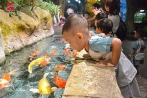 Dã ngoại Lotte Aquarium: Nhà thám hiểm nhí khám phá đại dương 13 841283725 1570478991788219 5588815184473800947 n