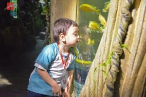 Dã ngoại Lotte Aquarium: Nhà thám hiểm nhí khám phá đại dương 14 841284938 1078039234994019 1396135464402056696 n