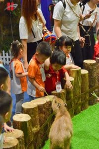 Dã ngoại Lotte Aquarium: Nhà thám hiểm nhí khám phá đại dương 15 842678246 1832229454455902 2247300225448154362 n