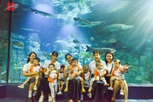 Dã ngoại Lotte Aquarium: Nhà thám hiểm nhí khám phá đại dương 20 843161637 1745482306744815 7631190529339315374 n