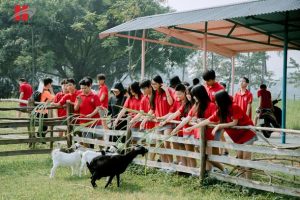 Dã ngoại THCS Hanoi Academy: Đổi không khí, nạp năng lượng tại Trường Xanh 13 852824666 1086970877534372 8687107840873880909 n