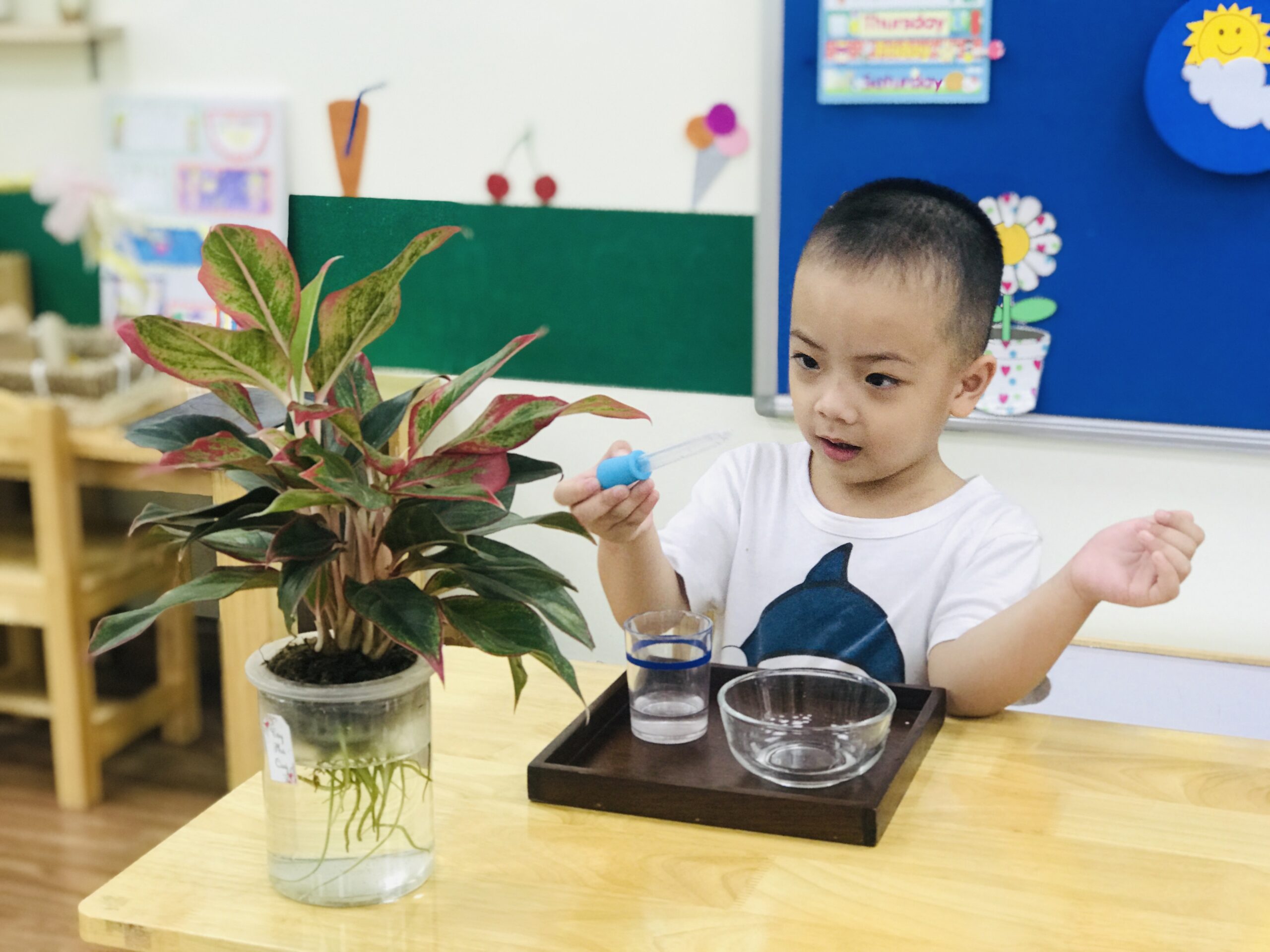Lĩnh vực thực hành cuộc sống (Practical Life) trong phương pháp giáo dục Montessori