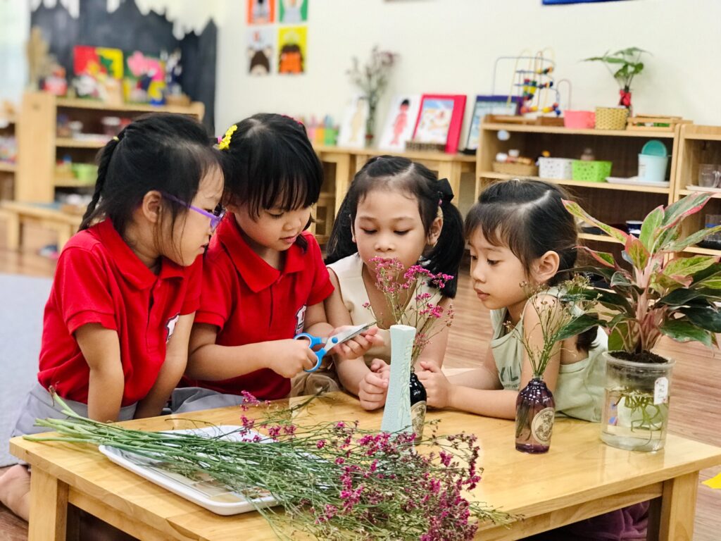 Lĩnh vực thực hành cuộc sống (Practical Life) trong phương pháp giáo dục Montessori