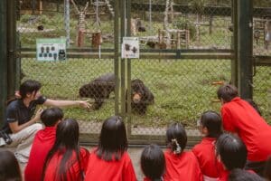 Nuôi dưỡng tình yêu thiên nhiên qua chuyến tham quan tại Trung tâm cứu hộ Gấu Việt Nam 16 645484550 1373883298114457 3641874276233821846 n